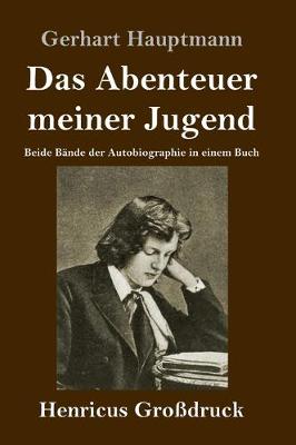 Book cover for Das Abenteuer meiner Jugend (Grossdruck)