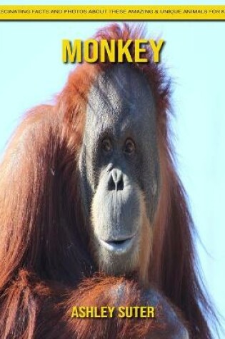 Cover of Monkey