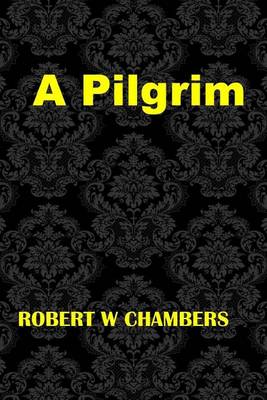 Book cover for A Pilgrim