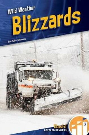 Cover of Blizzards