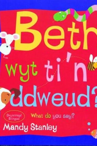 Cover of Beth Wyt Ti'n Ddweud? What Do You Say?