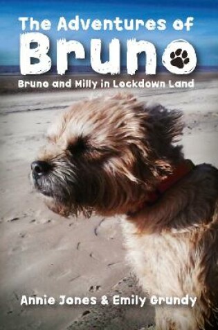 Cover of The Adventures of Bruno