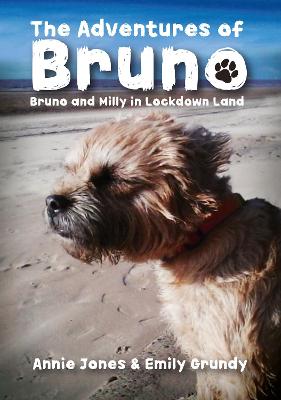 Book cover for The Adventures of Bruno