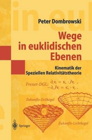 Cover of Wege in Euklidischen Ebenen Kinematik Der Speziellen Relativitatstheorie