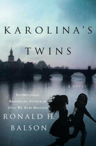 Cover of Karolina's Twins