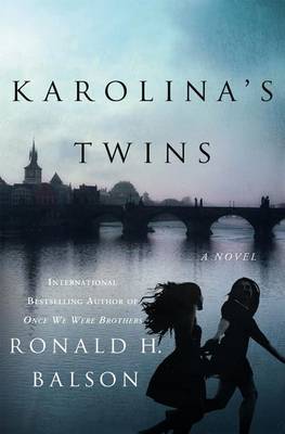 Book cover for Karolina's Twins