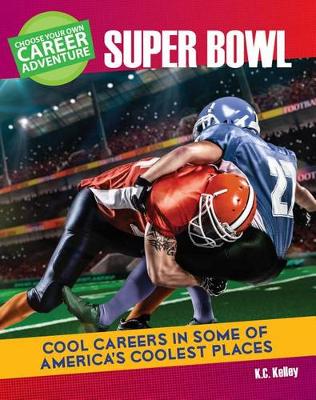 Book cover for Choose a Career Adventure at the Super Bowl