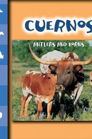 Cover of Cuernos (Antlers and Horns)