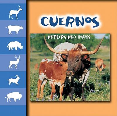 Book cover for Cuernos (Antlers and Horns)