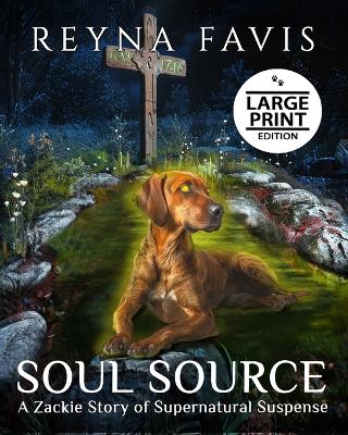 Book cover for Soul Source