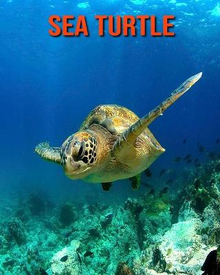 Book cover for Sea Turtle