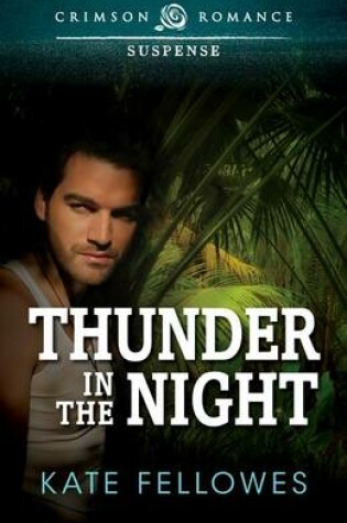 Cover of Thunder in the Night