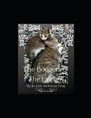 Book cover for The Boogers & The Darlins