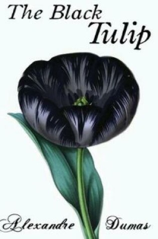 Cover of The Black Tulip (Annotated)