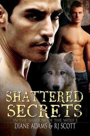 Cover of Shattered Secrets