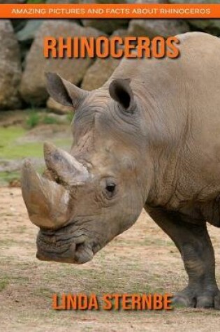 Cover of Rhinoceros