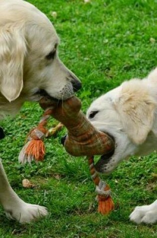 Cover of Golden Retriever Puppy Dog and Mama Playing with a Rope Journal