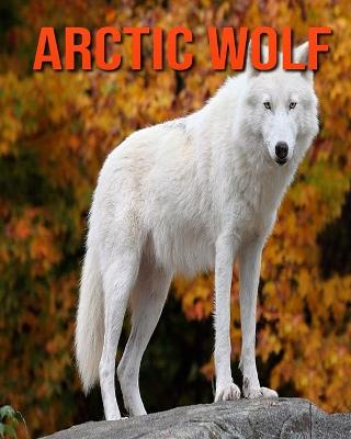 Book cover for Arctic Wolf