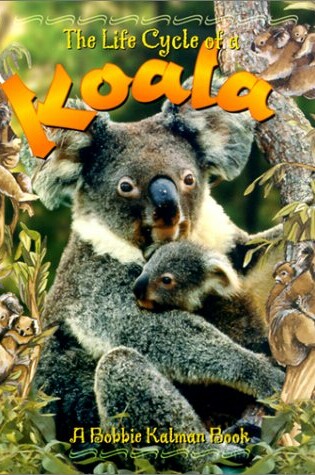 Cover of The Life Cycle of the Koala