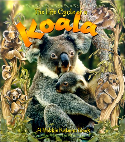 Book cover for The Life Cycle of the Koala