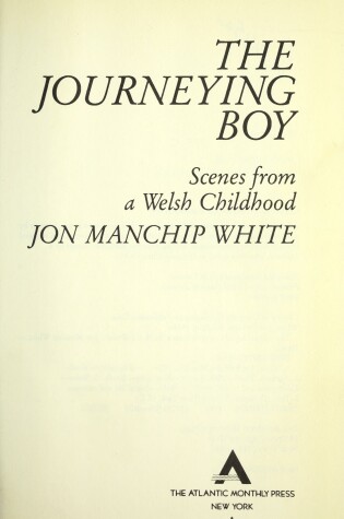 Cover of The Journeying Boy