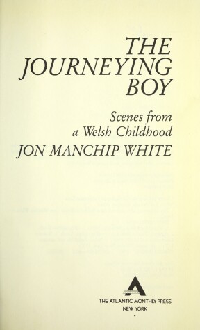 Cover of The Journeying Boy