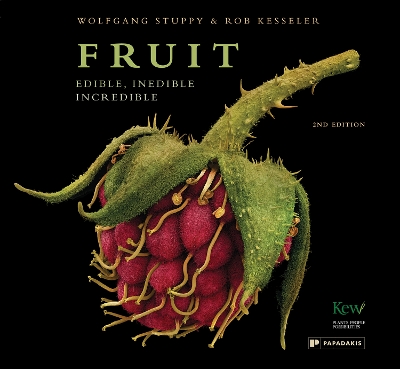 Book cover for Fruit