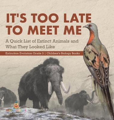 Book cover for It's Too Late to Meet Me