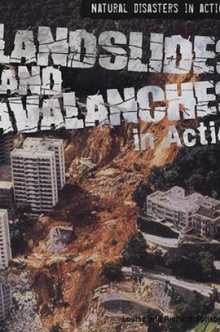 Cover of Landslides and Avalanches in Action