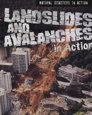 Book cover for Landslides and Avalanches in Action