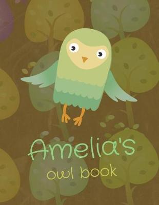 Book cover for Amelia's Owl Book