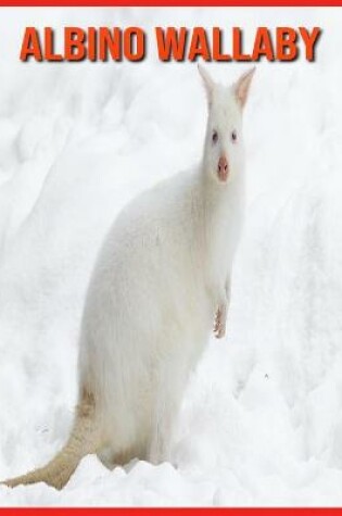 Cover of Albino Wallaby