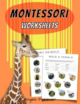 Book cover for Montessori Worksheets