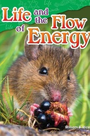 Cover of Life and the Flow of Energy