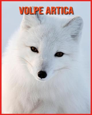 Book cover for Volpe Artica