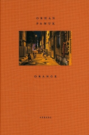 Cover of Orhan Pamuk: Orange