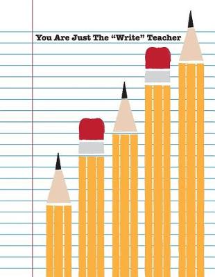 Book cover for You Are Just The 'Write' Teacher