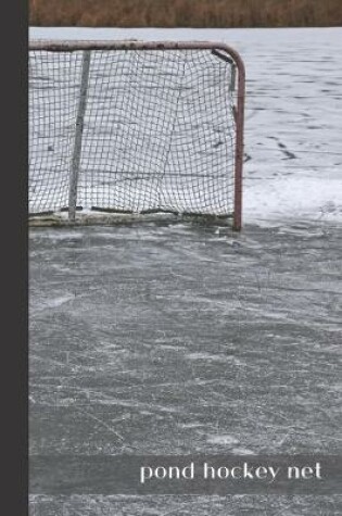 Cover of pond hockey net