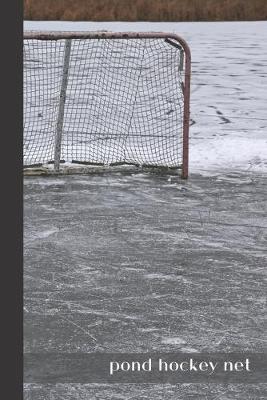 Book cover for pond hockey net