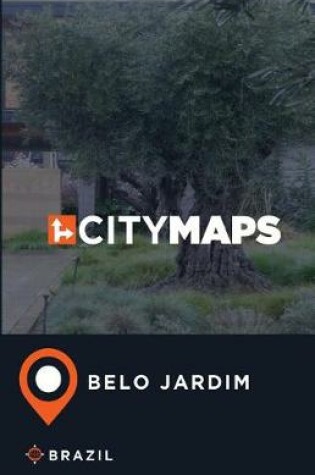 Cover of City Maps Belo Jardim Brazil