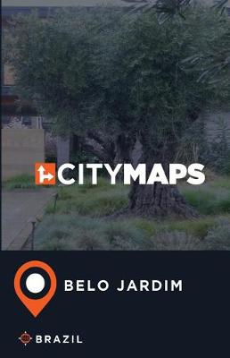 Book cover for City Maps Belo Jardim Brazil