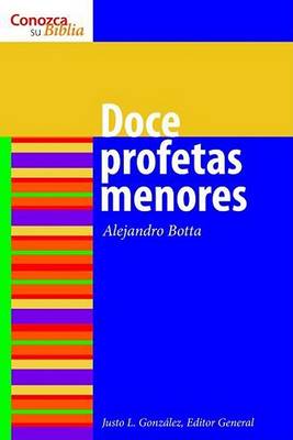 Book cover for Los doce profetas menores