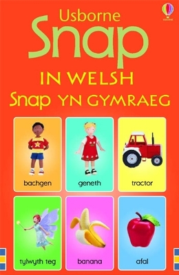 Book cover for Snap in Welsh