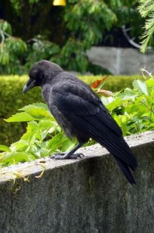 Cover of Crow on the Garden Wall Bird Journal