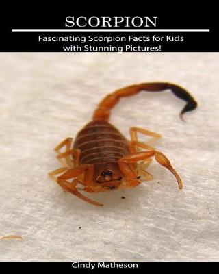 Book cover for Scorpion