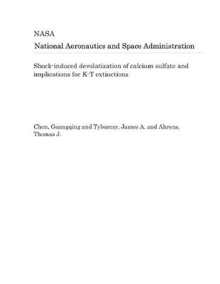 Book cover for Shock-Induced Devolatization of Calcium Sulfate and Implications for K-T Extinctions