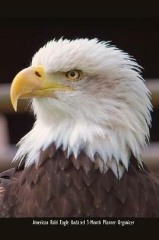 Cover of American Bald Eagle Undated 3-Month Planner Organizer