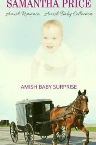 Cover of Amish Baby Surprise
