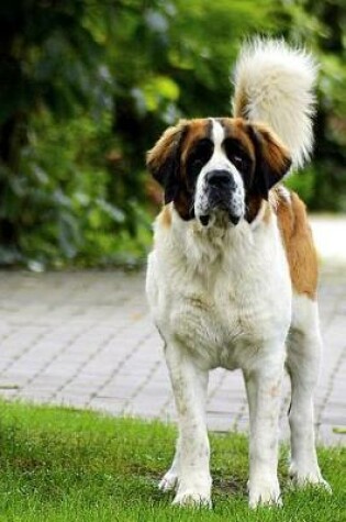 Cover of St. Bernard Dog in the Park Journal