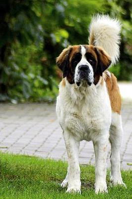 Book cover for St. Bernard Dog in the Park Journal